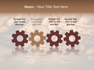 Student Read Young PowerPoint Template