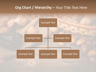 Student Read Young PowerPoint Template