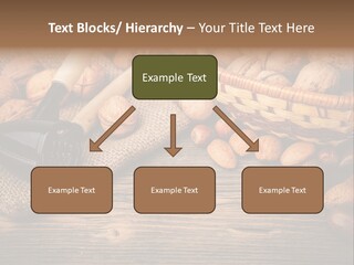 Student Read Young PowerPoint Template