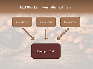 Student Read Young PowerPoint Template