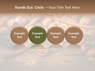 Student Read Young PowerPoint Template