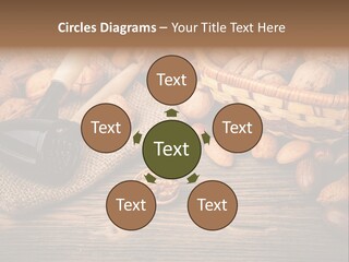 Student Read Young PowerPoint Template