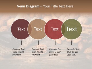 Student Read Young PowerPoint Template