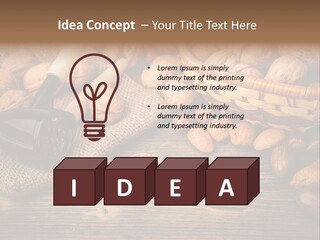 Student Read Young PowerPoint Template