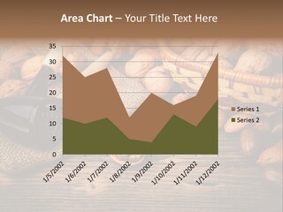 Student Read Young PowerPoint Template