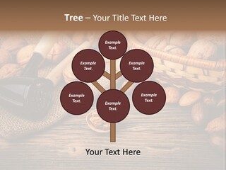 Student Read Young PowerPoint Template