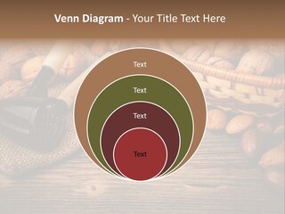 Student Read Young PowerPoint Template