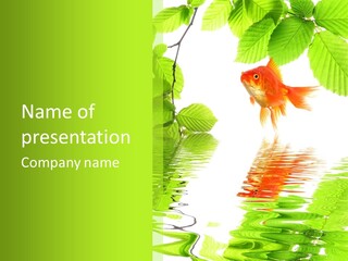 Ecological Sunny Day PowerPoint Template