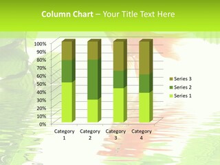 Ecological Sunny Day PowerPoint Template