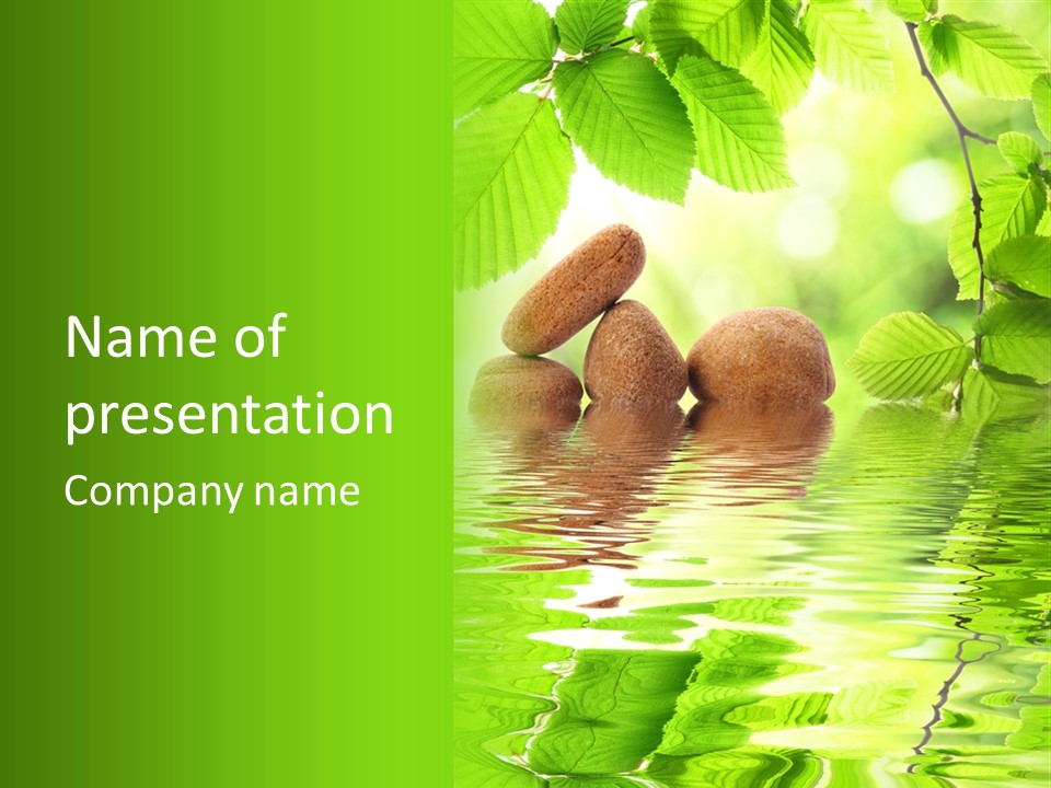 Lifestyle Natural Medicine PowerPoint Template