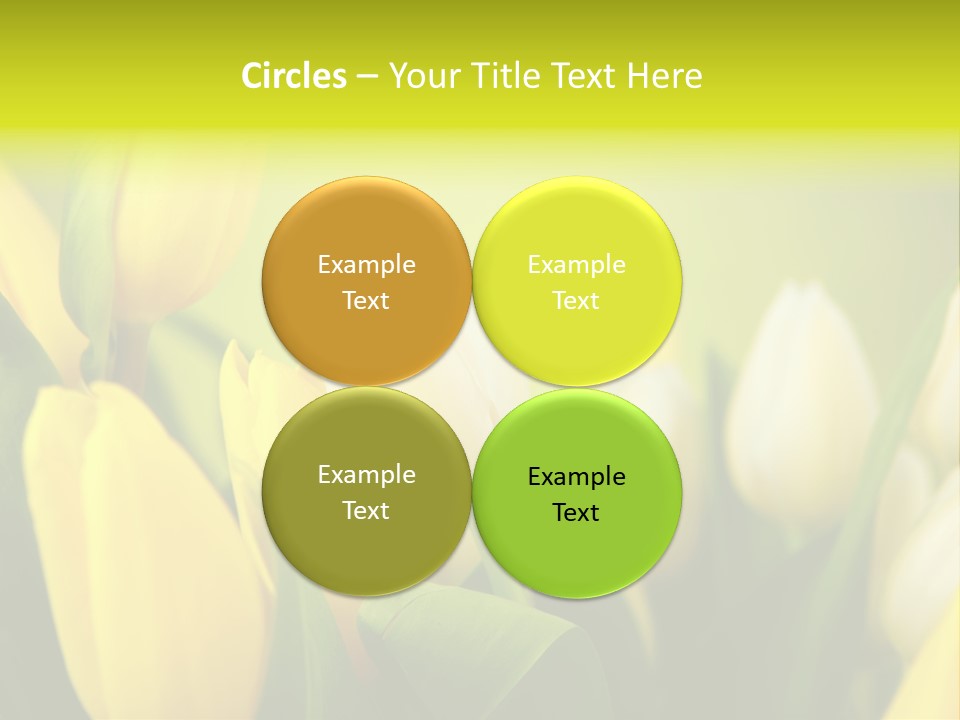Femine Garden Tulip PowerPoint Template