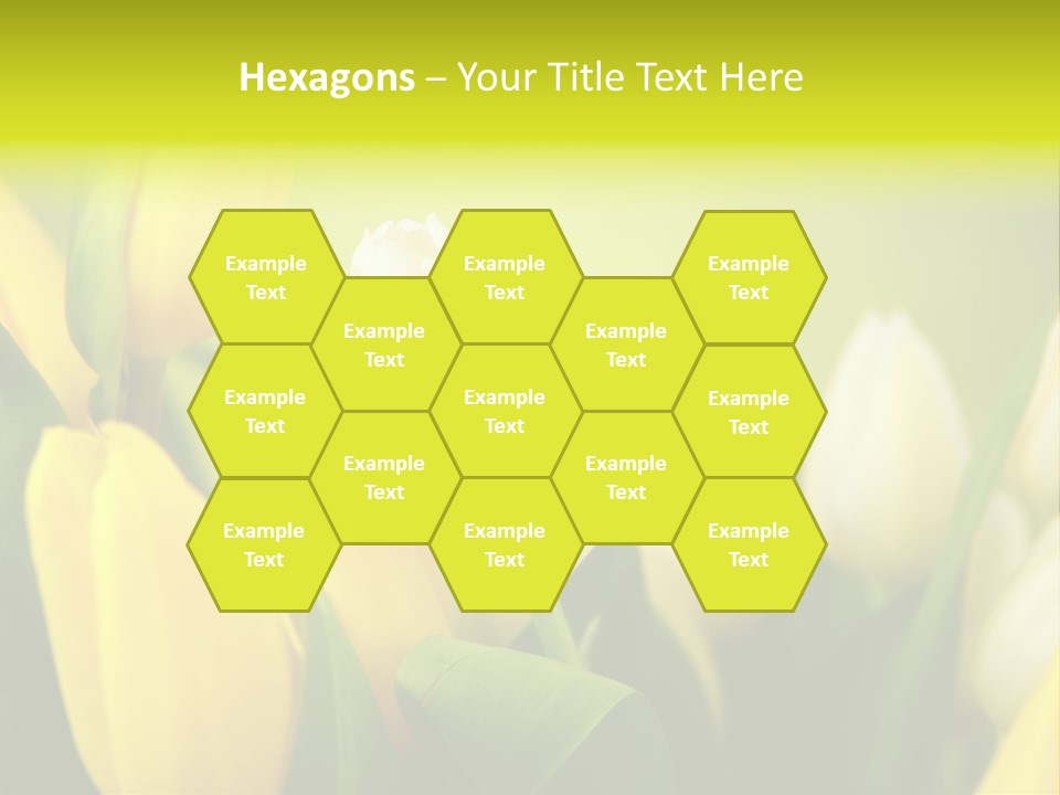 Femine Garden Tulip PowerPoint Template