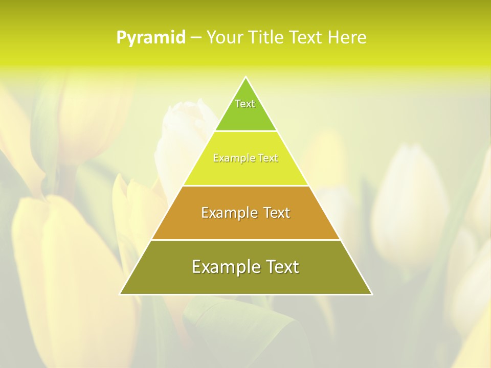 Femine Garden Tulip PowerPoint Template