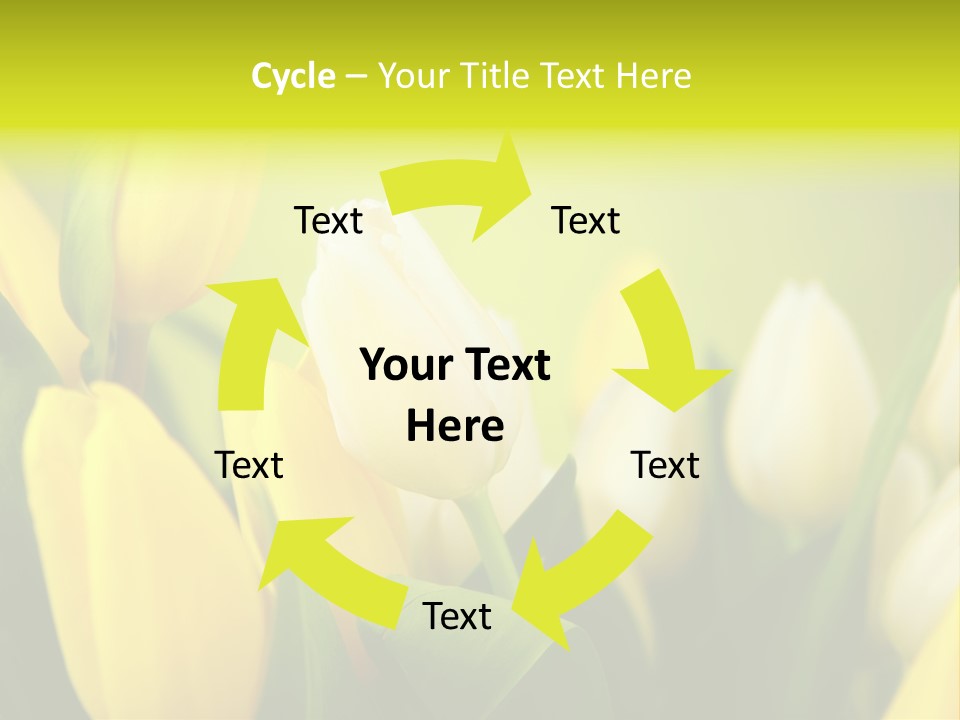 Femine Garden Tulip PowerPoint Template