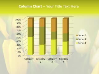 Femine Garden Tulip PowerPoint Template