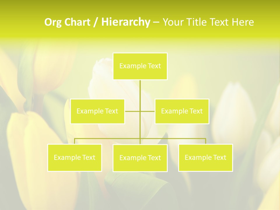 Femine Garden Tulip PowerPoint Template