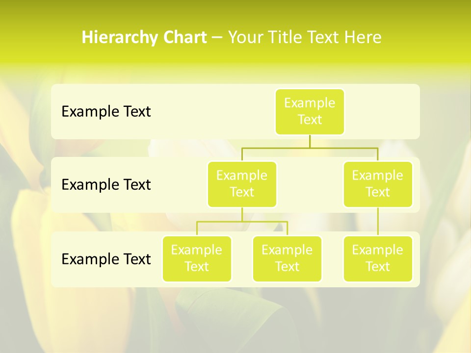 Femine Garden Tulip PowerPoint Template