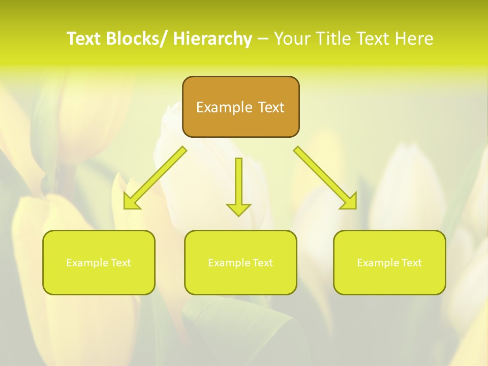 Femine Garden Tulip PowerPoint Template