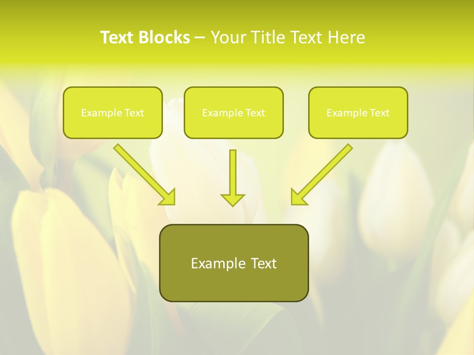 Femine Garden Tulip PowerPoint Template