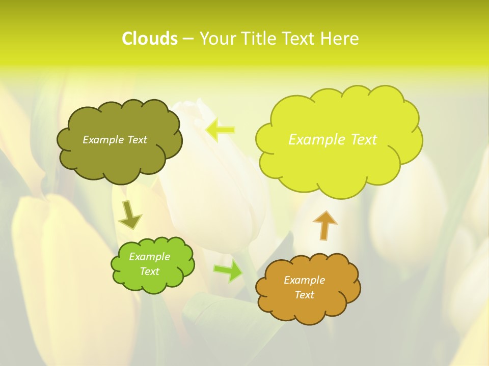 Femine Garden Tulip PowerPoint Template