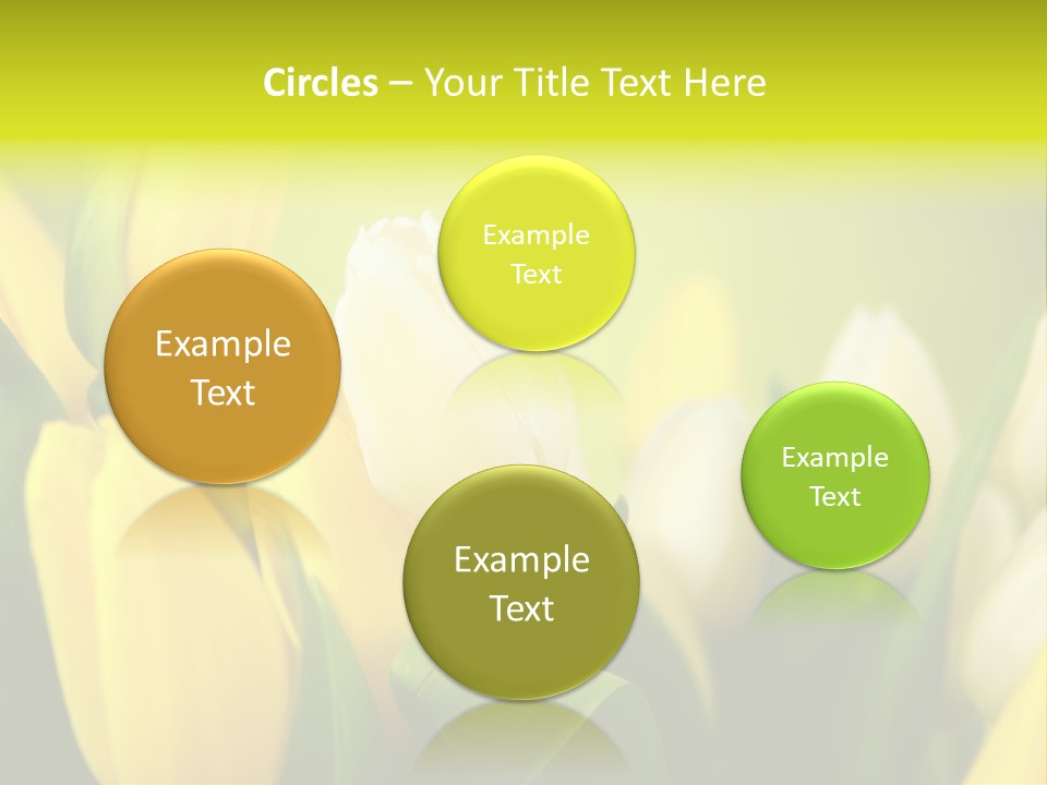 Femine Garden Tulip PowerPoint Template