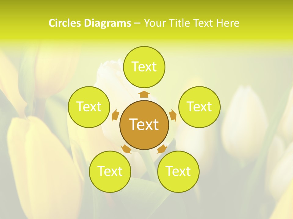 Femine Garden Tulip PowerPoint Template