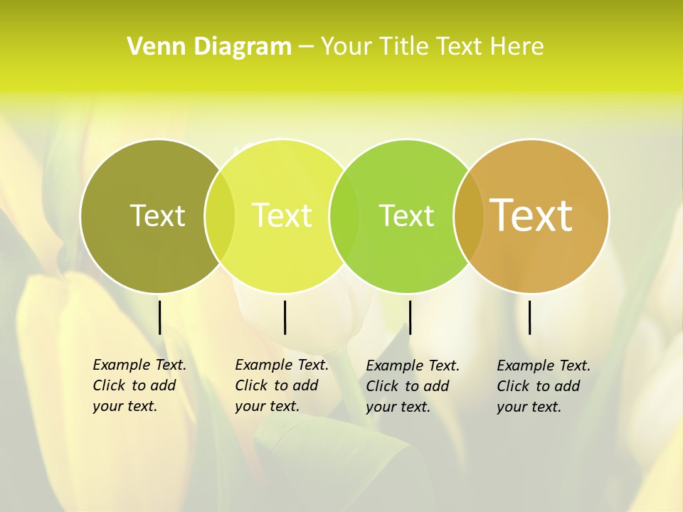 Femine Garden Tulip PowerPoint Template