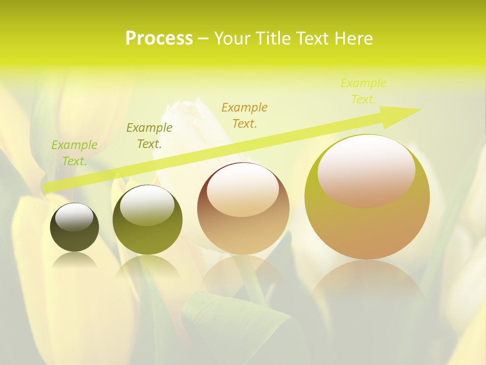 Femine Garden Tulip PowerPoint Template