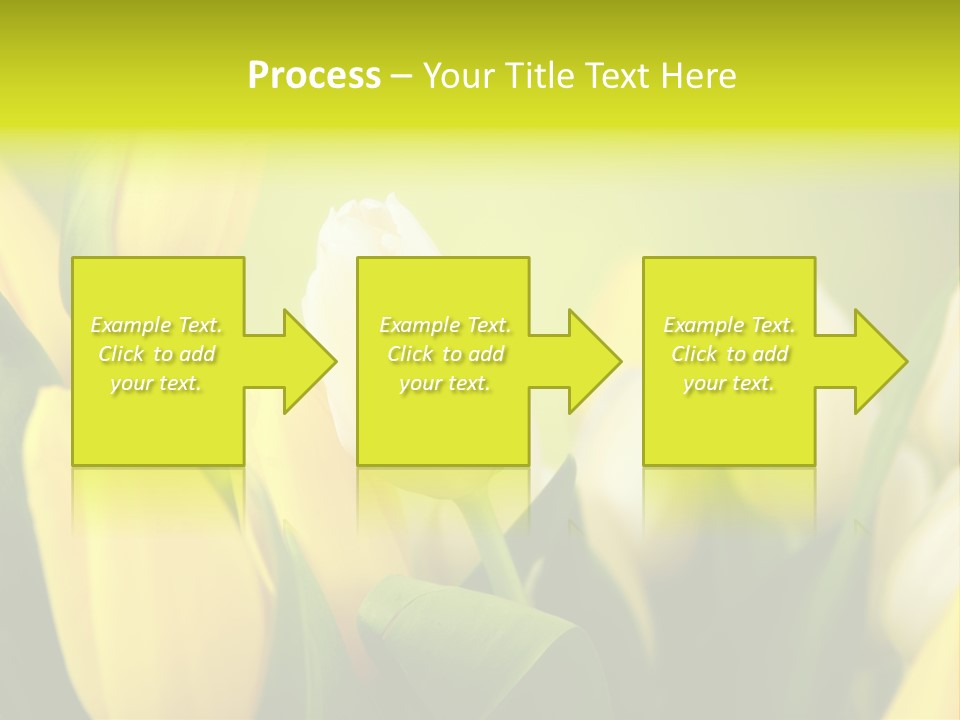 Femine Garden Tulip PowerPoint Template