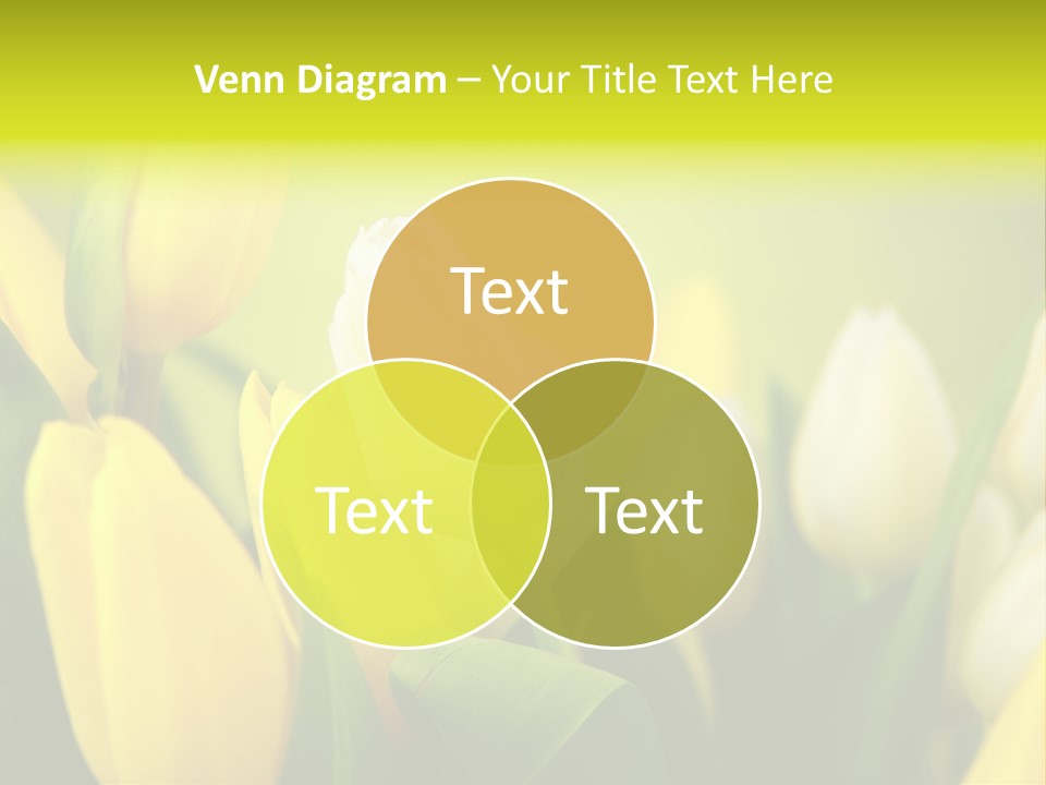 Femine Garden Tulip PowerPoint Template