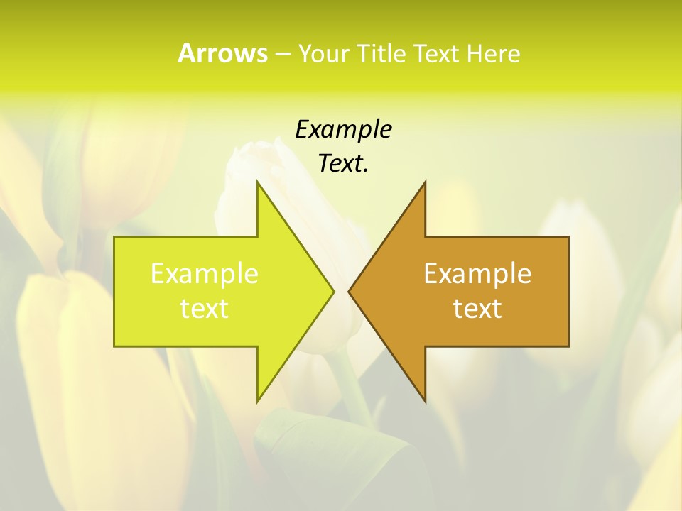 Femine Garden Tulip PowerPoint Template