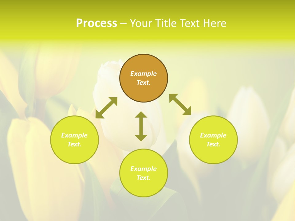 Femine Garden Tulip PowerPoint Template