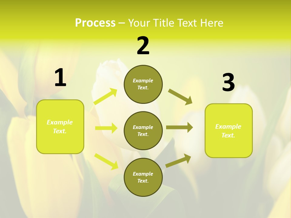 Femine Garden Tulip PowerPoint Template