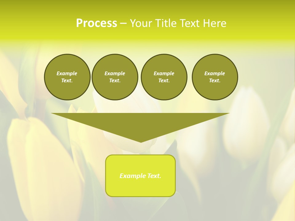Femine Garden Tulip PowerPoint Template