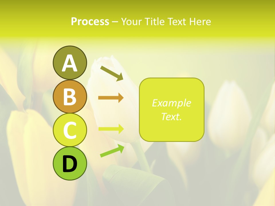 Femine Garden Tulip PowerPoint Template