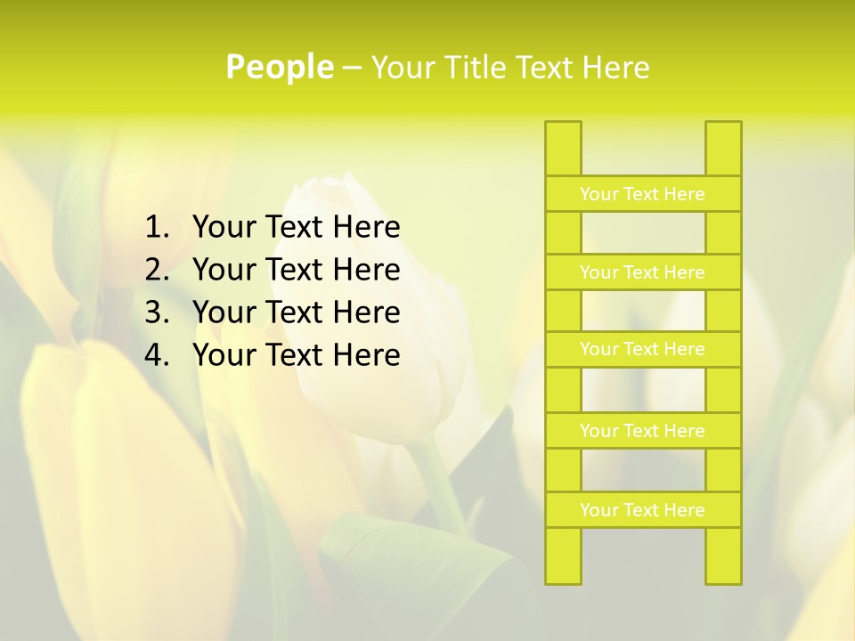 Femine Garden Tulip PowerPoint Template