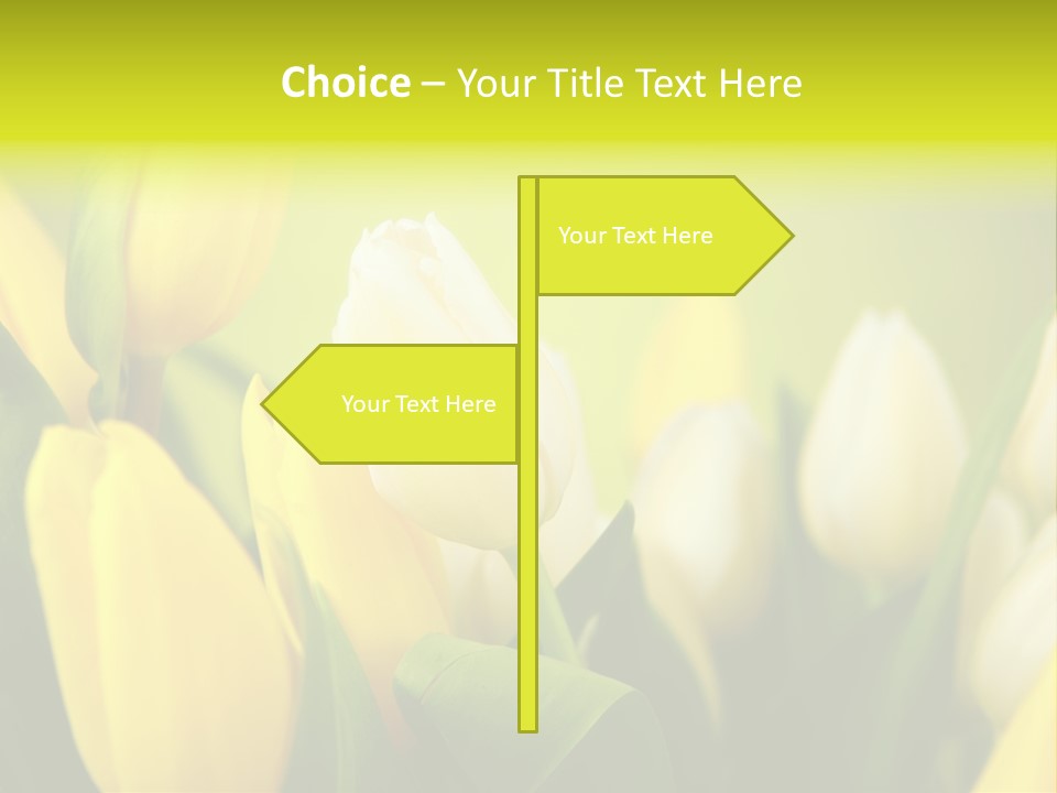Femine Garden Tulip PowerPoint Template