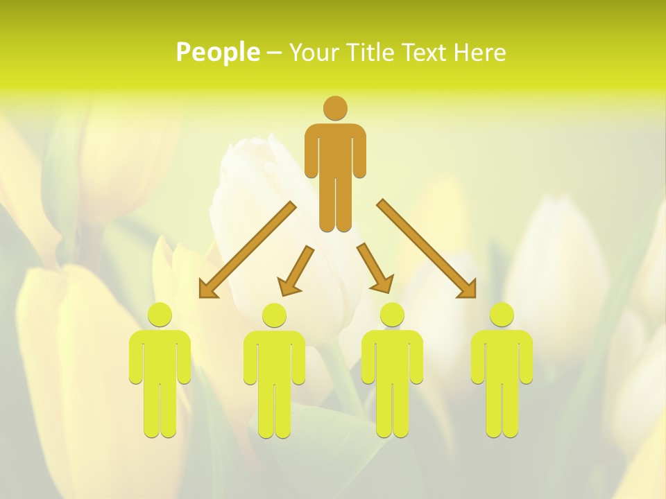 Femine Garden Tulip PowerPoint Template