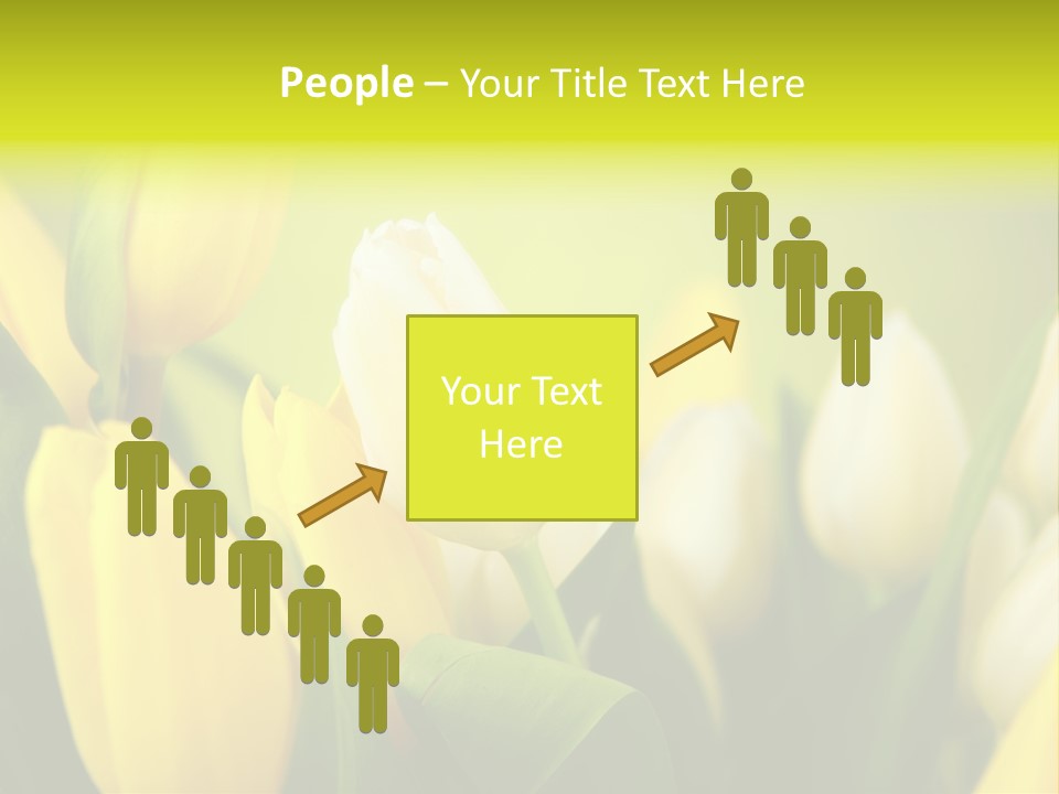 Femine Garden Tulip PowerPoint Template