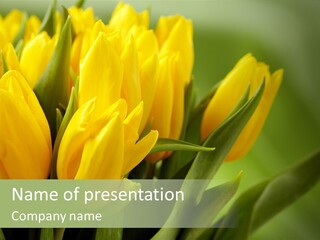 Colourful Bulbs Yellow PowerPoint Template