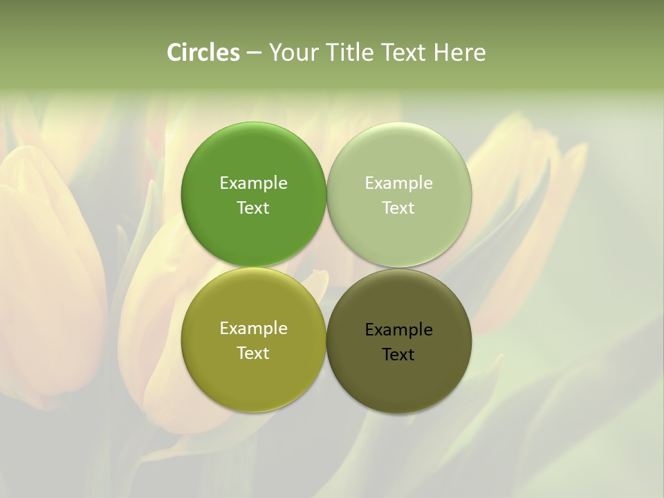 Colourful Bulbs Yellow PowerPoint Template