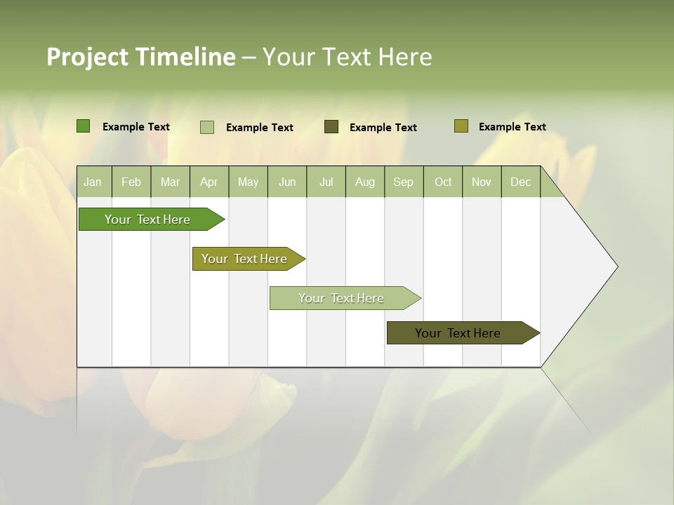 Colourful Bulbs Yellow PowerPoint Template