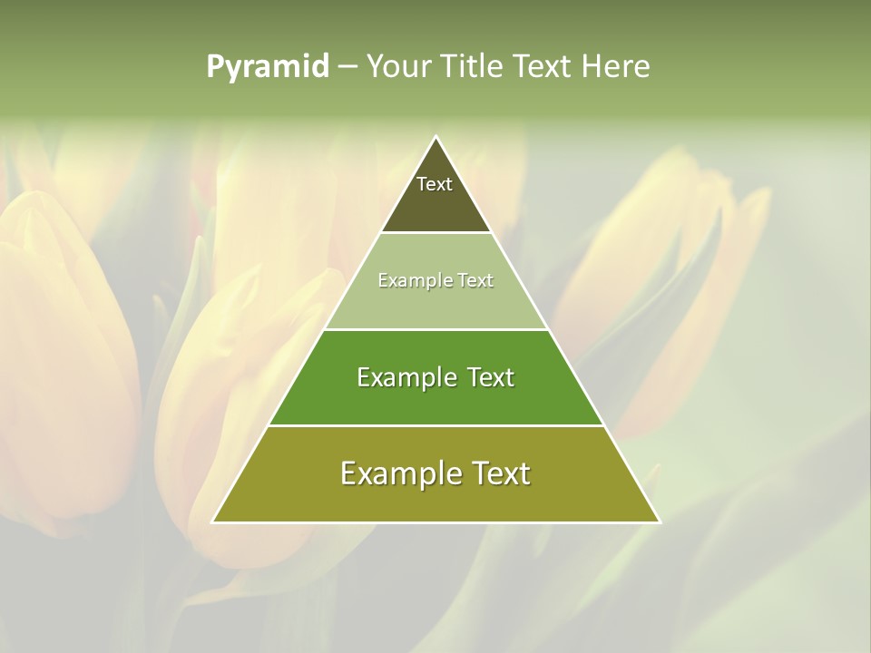 Colourful Bulbs Yellow PowerPoint Template