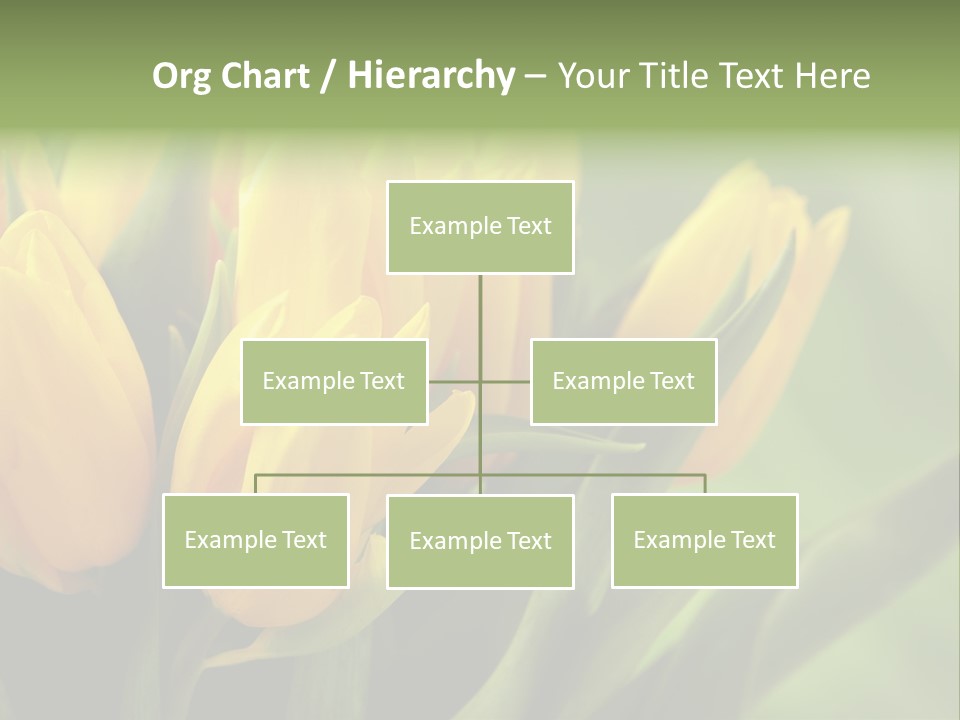 Colourful Bulbs Yellow PowerPoint Template