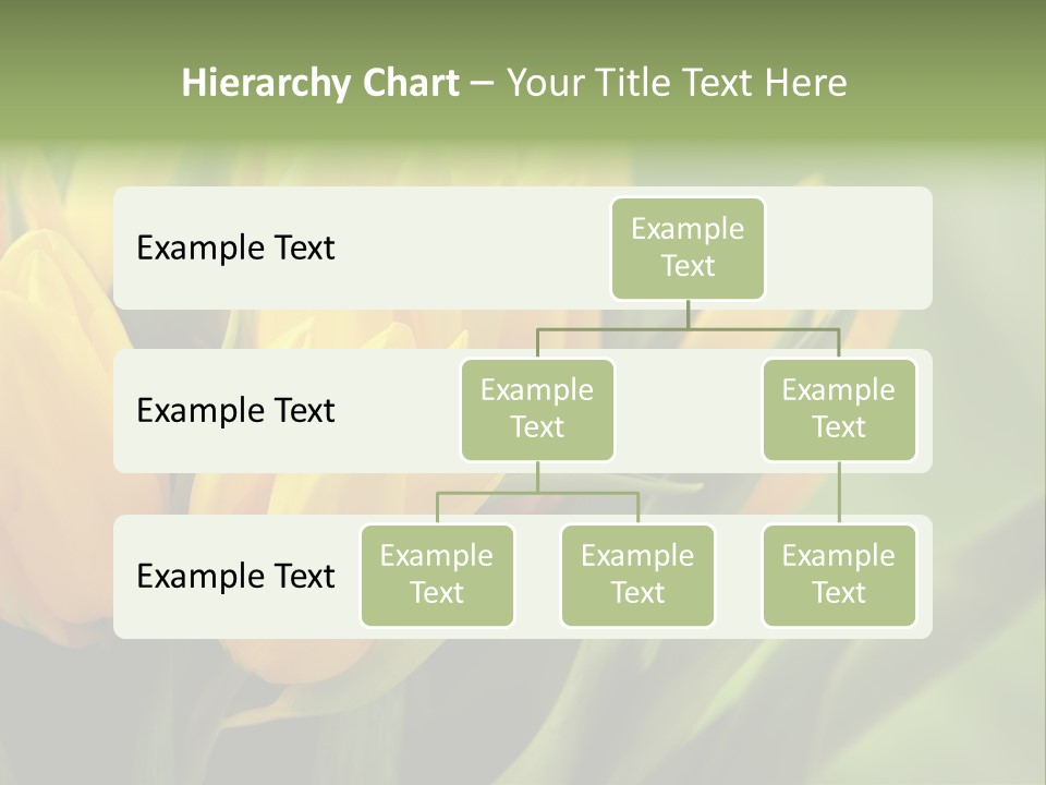 Colourful Bulbs Yellow PowerPoint Template
