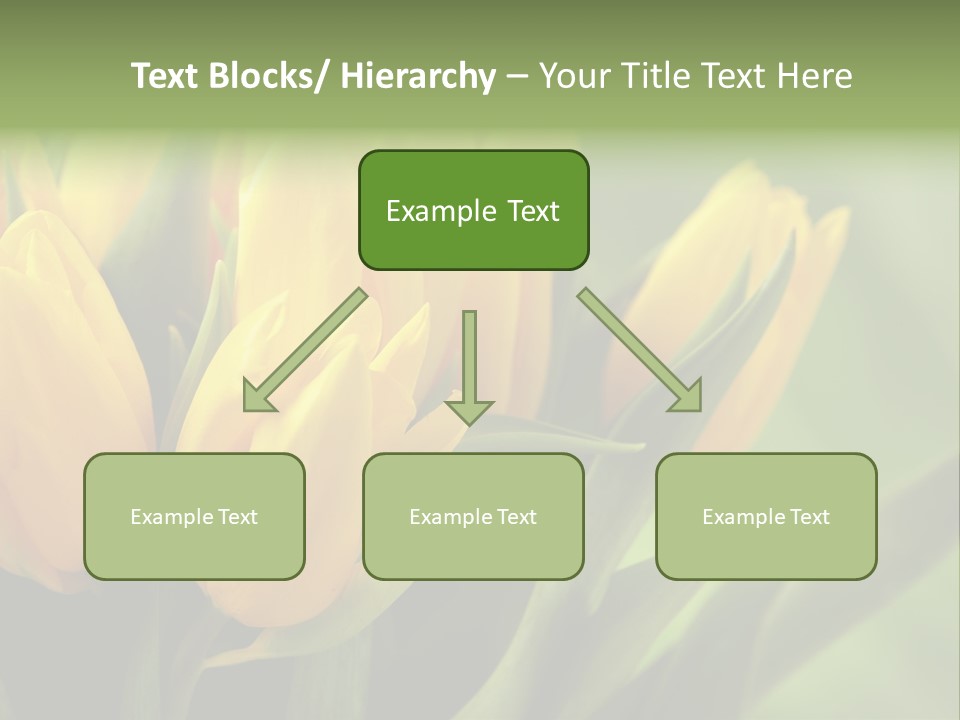 Colourful Bulbs Yellow PowerPoint Template