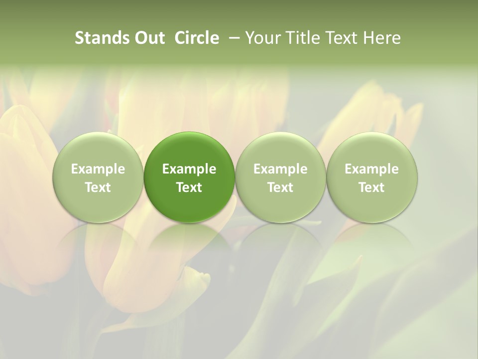 Colourful Bulbs Yellow PowerPoint Template