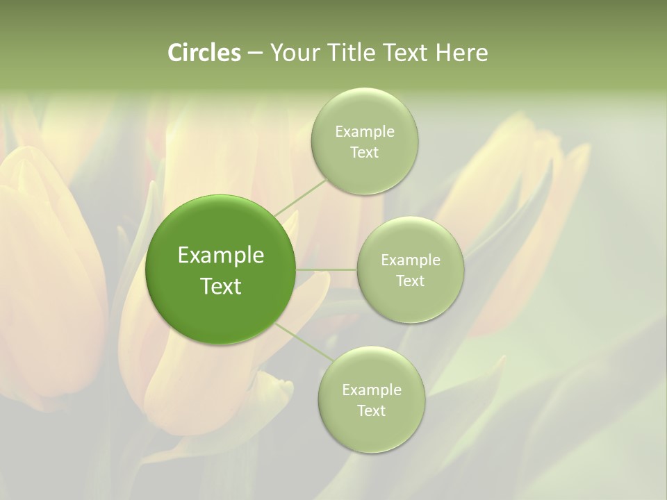 Colourful Bulbs Yellow PowerPoint Template