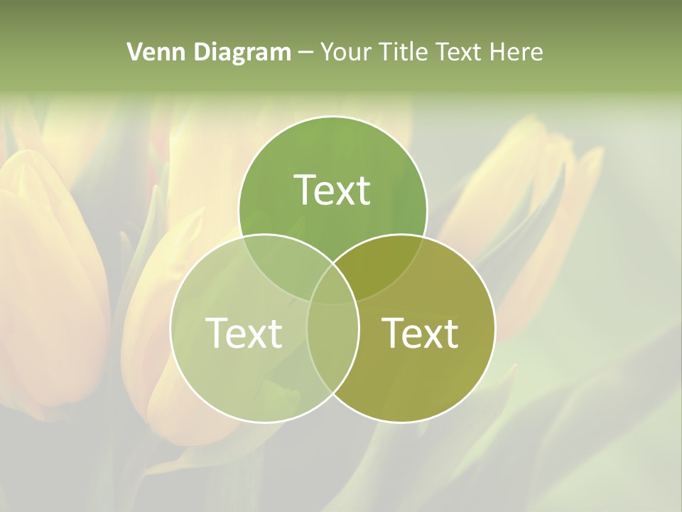 Colourful Bulbs Yellow PowerPoint Template