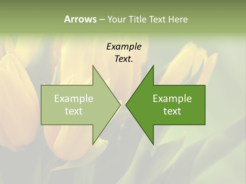 Colourful Bulbs Yellow PowerPoint Template